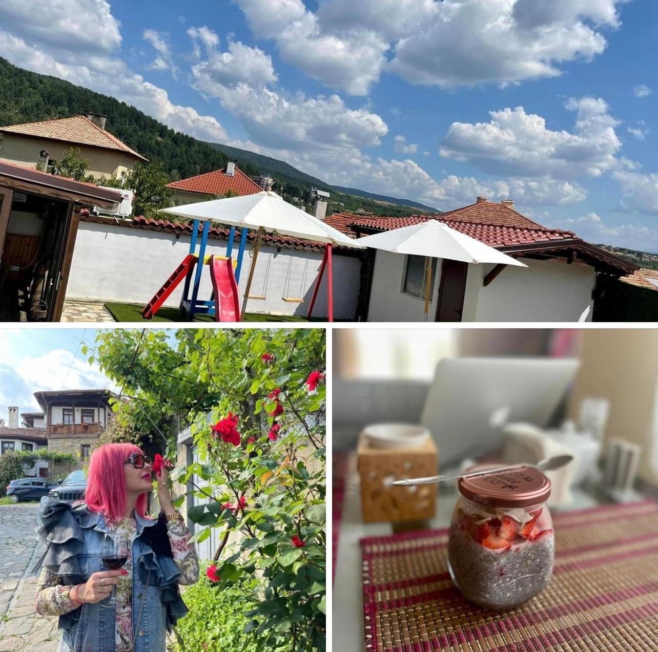 Boris House Hotel Огняново Екстериор снимка